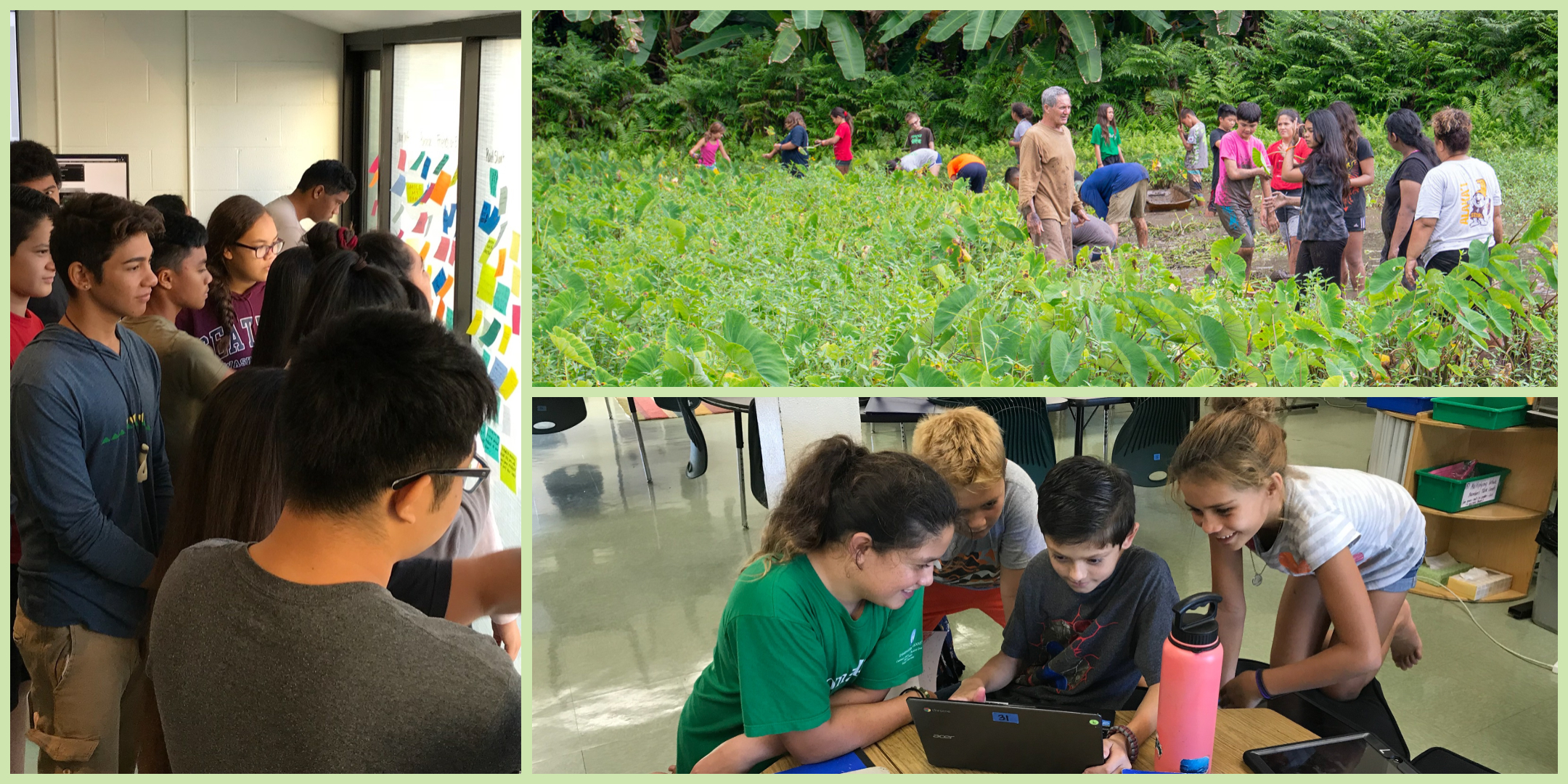 November 2018: Aloha and Mahalo!